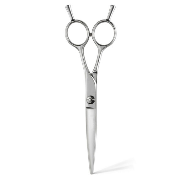 Barber Scissors