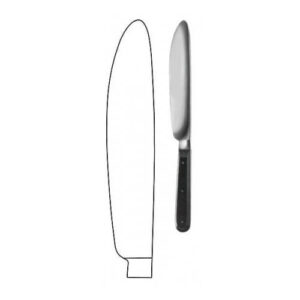 Scalpel - General Surgical Instrument